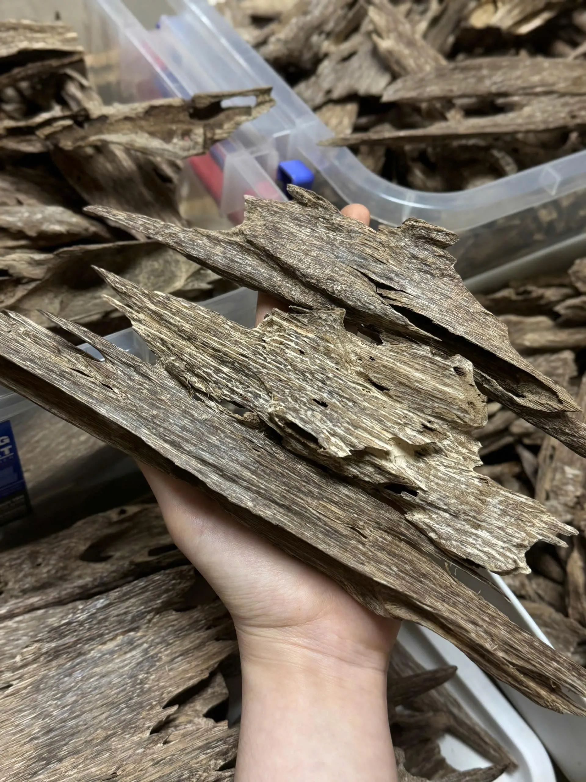 Premium Ant Oud – Natural Vietnamese Agarwood Chips (High Oil Kien Wood)
